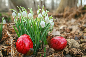 Ostern Erlengrund